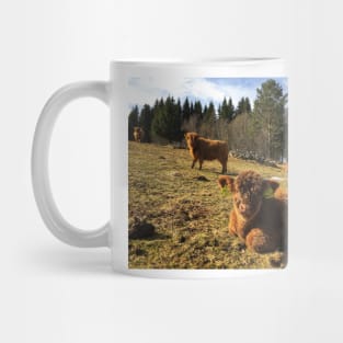 Scottish Highland Cattle Calves 1750 Mug